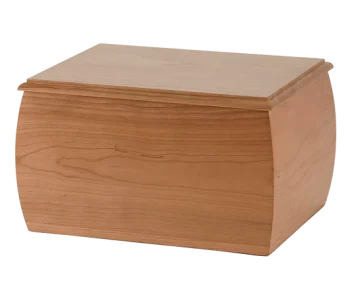 400001L-Benton-Transparent-upscaled_x3_19df1310-6d5a-44af-9c6a-d06a8689111c
