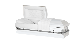 WhiteandSilver_1_-upscaled_x2_7f833e70-dfbe-438b-9d61-6c01e25aa907